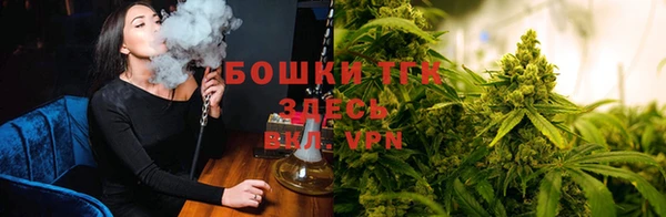 тгк Липки
