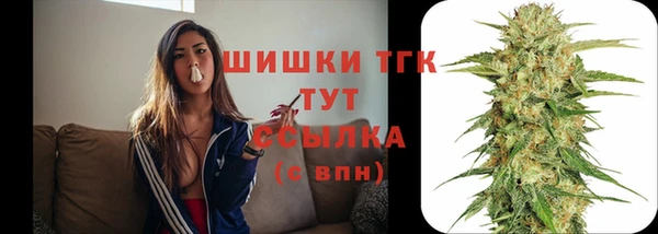 стаф Лихославль