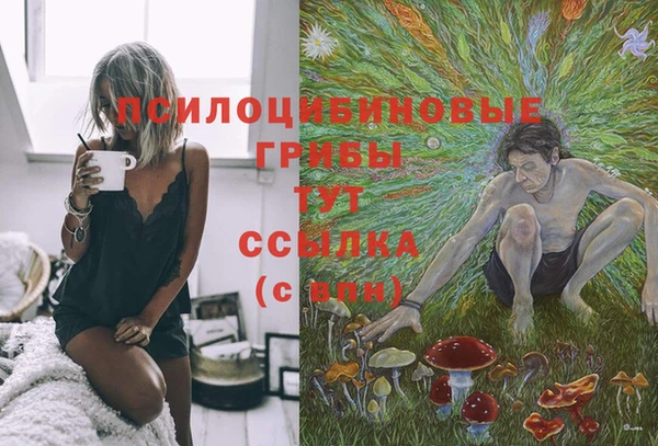 mix Снежногорск